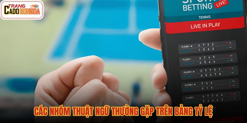 cac-nhom-thuat-ngu-thuong-gap-tren-bang-ty-le