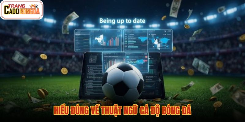 hieu-dung-ve-thuat-ngu-ca-do-bong-da